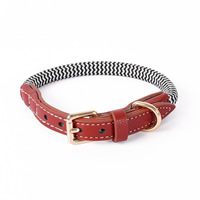 Ensemble collier et laisse pour chien réfléchissant Collier réglable et laisse pour chien en nylon 3D Poignées confortables Collier de chien avec verrouillage de sécurité