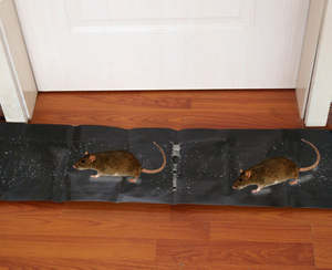 Piège à colle pour souris, intérieur et extérieur, écologique, solide pour serpents et <span class=keywords><strong>oiseaux</strong></span> - Product Image 2