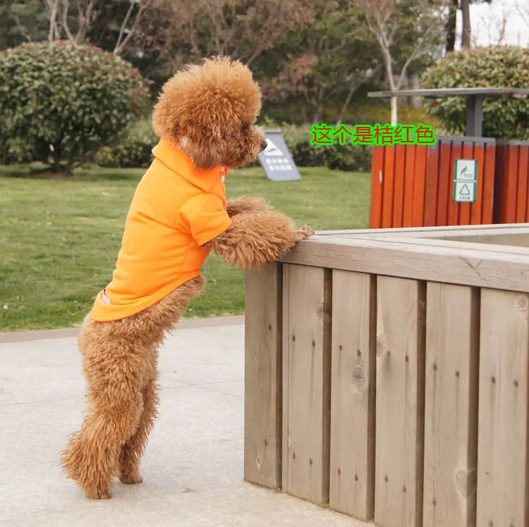 ソフトコットン子犬ブランクペット服多色シンプルポロシャツ夏犬服