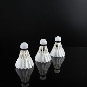 Volants de <span class=keywords><strong>badminton</strong></span> en plumes d'oie à haute durabilité pour les compétitions de <span class=keywords><strong>ligue</strong></span> - Product Image 2