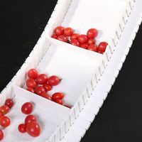 Bande transporteuse en polyuréthane résistant à l'huile pour transformation des aliments pour pommes de terre