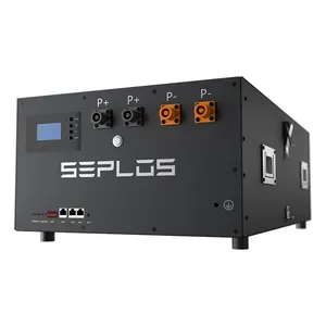 Seplos MASON 280 48V Kit unità fai da te senza celle LiFePO4 batteria casa accumulo di energia BMS 3.0