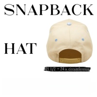 Gorra de Béisbol Ligera, Fácil de Guardar, Antiarrugas, Práctica y Portátil para Viajes de Negocios y Turismo al Aire Libre