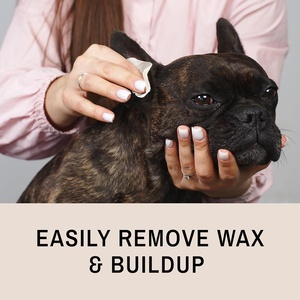 Cuidado Auditivo Seguro y Efectivo para Mascotas, Fórmula <span class=keywords><strong>Natural</strong></span>, Suave, No Irritante y sin Perfume, Solución de Limpieza de Oídos Eye Envy para <span class=keywords><strong>Perros</strong></span> y Gatos - Product Image 2
