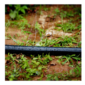 <span class=keywords><strong>Tuyau</strong></span> plat PE noir micro-pulvérisateur 4 Connect 60/50mm à 28mm <span class=keywords><strong>pour</strong></span> système <span class=keywords><strong>d</strong></span>'irrigation agricole - Product Image 3