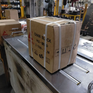 Polipasto Manual de Cadena de 1, 2, 3, 5, 10 y 20 Toneladas, Gran Venta - Product Image 6