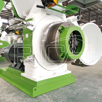 Broyeur à bois RICHI, moulin à granulés, machine à économie d'énergie 8-10t/h, granulés de bois 8 mm, fabricants de granulés pour sciure de bois dure
