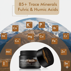 OEM Private Label Himalayan Shilajit resina pura 500mg di acido fulvico minerali magnesio zinco energia Boost integratore - Product Image 3