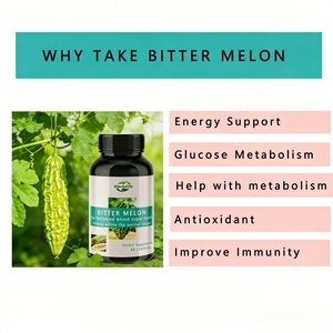 Capsules d'extrait de melon amer végétalien de haute qualité OEM - Complément alimentaire naturel à base de plantes pour favoriser des niveaux de glycémie sains - Product Image 3