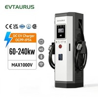 Estación de Carga Rápida para Vehículos Eléctricos de 60KW~240KW, Doble Conector CCS GBT NACS, IP54 IK10, para Exteriores, Pantalla Táctil de 7'', OCPP, Importador