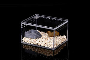 Terrario per Rettili in Plastica Acrilica per Ragni Lucertole e Gechi Design Senza Viti - Product Image 6