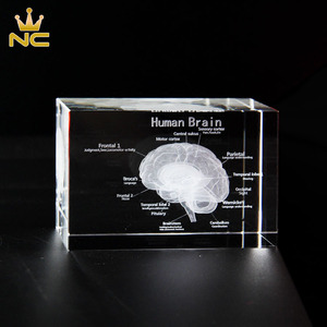 Thiết Kế Mô Hình NÃO KHẮC Khối Thủy Tinh 3D <span class=keywords><strong>Laser</strong></span> <span class=keywords><strong>Crystal</strong></span> Cho Quà Lưu Niệm Bệnh Viện - Product Image 5