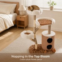 Arbre à chat tout-en-un en bois massif, style tasse à café, avec condo et bande de jeu pour chats de grande taille
