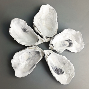 Conchas <span class=keywords><strong>de</strong></span> Ostra Secas Naturales, Conchas Marinas Vacías <span class=keywords><strong>de</strong></span> Ostra <span class=keywords><strong>de</strong></span> China para Exportación - Product Image 4