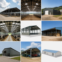 Edificio Moderno para Granjas Avícolas de Acero con Estructura de Acero Ligero, Diseño Ventilable, Aplicación para Almacenes