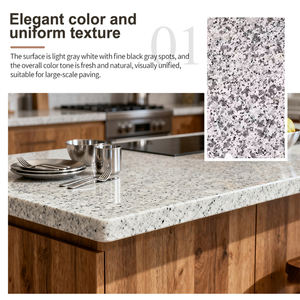 नए सफेद तिल ग्रेनाइट टिकाऊ और पहनने के लिए प्रतिरोधी तिल सफेद ग्रेनाइट - Product Image 3