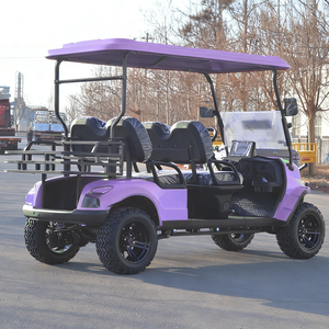 Voiturette de golf électrique miniature de haute qualité, sièges réglables, couleur violette, 4 places, voiturettes électriques de tourisme pour navette de station balnéaire - Product Image 3