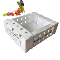 Meilleur prix pour boîte de transport en polypropylène ondulé pour légumes, chili, fruits, stockage en plastique, boîte de transport circulante