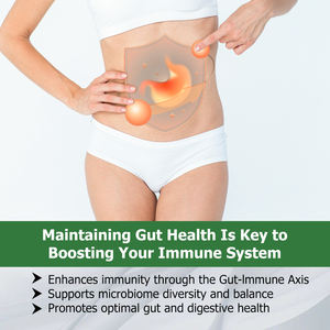 Own Brand Probiotic Capsules for Adults Enhance Immunity Gut-Immune Axis Support Microbiome Diversity Balance Promote Gut Health - Product Image 3