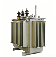 Transformateur à noyau amorphe S22 sur mesure OEM, 3 phases 110 kV 1000 kVA, bobinage en cuivre, refroidissement ONAN pour la rénovation de l'énergie rurale