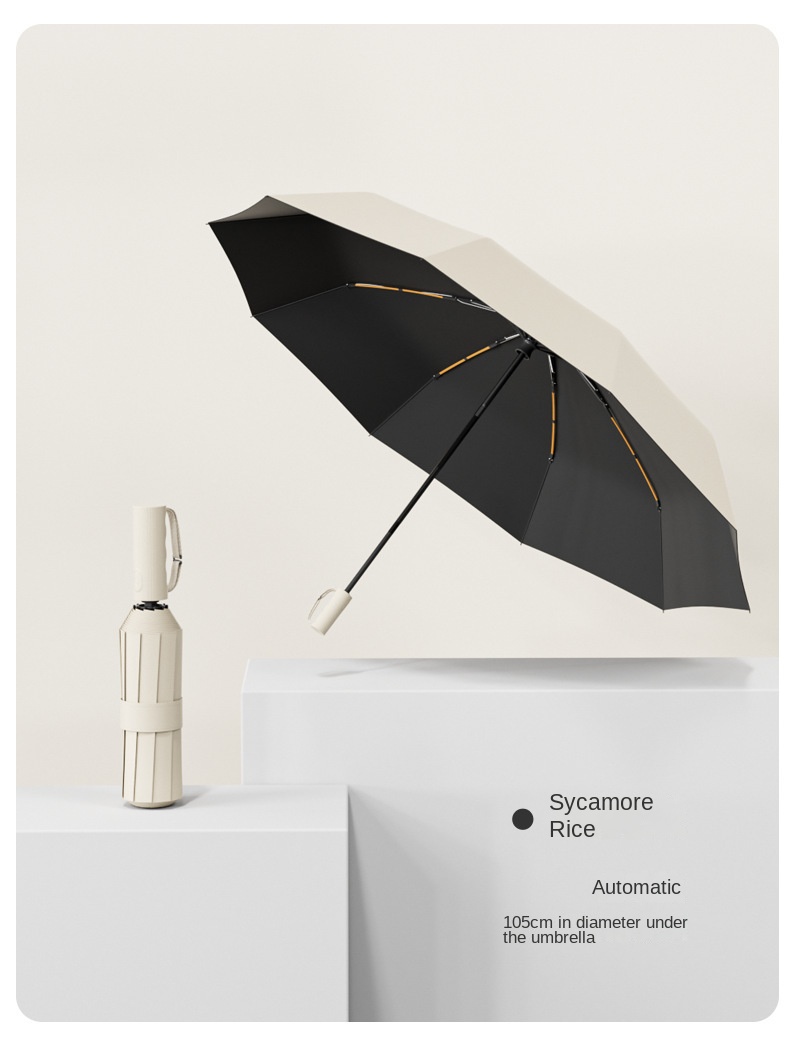 ข้าวซิคามอร์