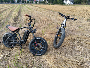 Vélo Électrique Tout-Terrain Fat Tire 20*4 48V 500W avec Batterie au Lithium, Suspension Intégrale, pour Ville et Montagne - Modèle Fat Boy - Product Image 5