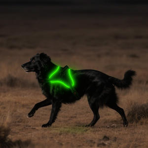 USB-C semplice imbracatura in fibra di cane in poliestere Pet con motivo animale di Halloween - Product Image 2