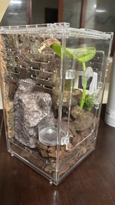 3mm PC Transparente Reptilien-<span class=keywords><strong>Terrarium</strong></span> – Belüfteter Haustierkäfig für Amphibien (S/L) - Product Image 6