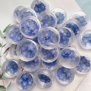 <span class=keywords><strong>Fleurs</strong></span> séchées naturelles pressées, 12 pièces/sac, Myosotis Sylvatica (Oubli-moi-pas), écologiques, pour artisanat des ongles et marque-pages faits main - Product Image 6