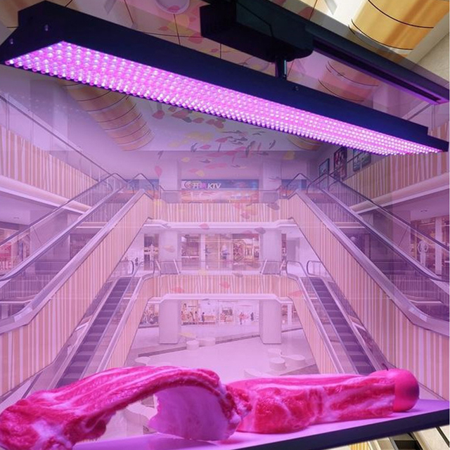 12V 85-265V LED Fresh Food Display Light for Meat Seafood Vegetables Fruit and Cooked Ingredients Commercial Lighting