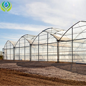 Serra moderna del tunnel del bordo del pc di coltivazione del fungo isolata doppio arco dell'azienda agricola di MYXL - Product Image 3