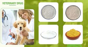 유기농 쐐기풀 추출물/쏘는 쐐기풀 추출물/쐐기풀 잎 추출물 - Product Image 3