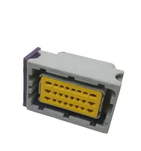 FCI 母 PBT 汽车连接器 24 针 Ecu 连接器带端子 211PC249S8005