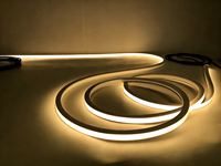 Lampu Strip LED Neon Vibey 24V IP68 Tahan Air, Dapat Dibengkokkan, 20*18mm, Lampu Tali untuk Luar Ruangan, Dalam Ruangan, Fasad, Bar, Kolam Renang, Bioskop, Hunian
