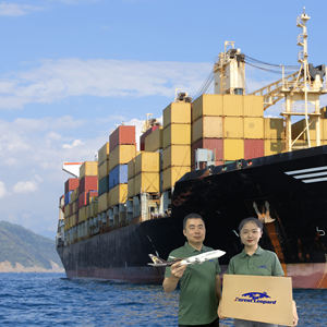 चीन से अमेरिकी कनाडा के लिए मुफ्त सीमा शुल्क निकासी फारवर्डर शिपिंग एजेंट - Product Image 1