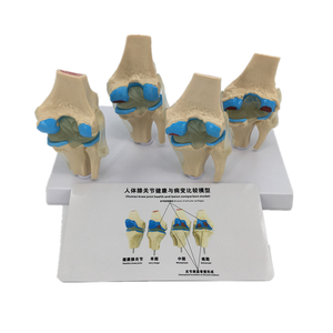 Prueba de Ovulación LH en Cassette, Kit de Autodiagnóstico Rápido para el Hogar, Muestra de Orina o Suero, Detección en un Solo Paso - Product Image 3