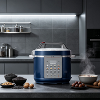 Cuisinière à pression électrique multifonction 5L/6L, cuiseur à riz automatique, appareil de cuisine pour usage domestique