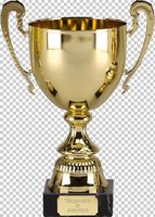 Trophée en métal de grande taille fait main pour les champions sportifs d'assurance, avec logo et emballage personnalisés