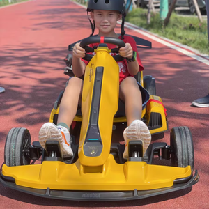 <span class=keywords><strong>Ninebot</strong></span> Go Kart <span class=keywords><strong>Pro</strong></span> pour <span class=keywords><strong>Lamborghini</strong></span> <span class=keywords><strong>Edition</strong></span> 25km d'autonomie 40 km/h électrique Drift Kart Pedal Gokarts pour enfants adultes - Product Image 1