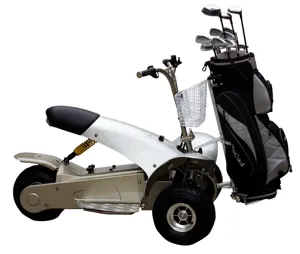 Single Seat Golf Cart Electric Motor Trolley Parts Utility Trolley 3 Wheel Cart with Seat