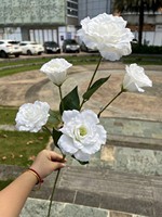CM-TH296 harga grosir Eustoma Grandiflorum bunga buatan karangan bunga sutra putih