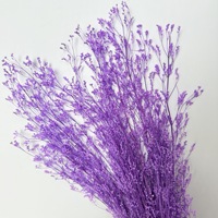DIY diawetkan dengan bahan multiwarna Penta Lanceolata dalam persediaan grosir dengan harga rendah