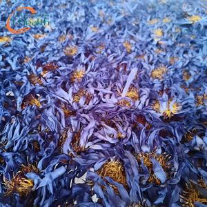 Pétalos de Loto Azul Secos, Cortes de Loto Azul Seco, Nymphaea Caerulea, Estándar Europeo, Hierba Asiática para Fumar/Té/Adorno - Product Image 5