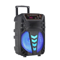 Altavoz de Karaoke Bluetooth con Micrófono, Bafle para Fiestas al Aire Libre, Altavoz de Karaoke de 12 Pulgadas con Micrófono y Bluetooth