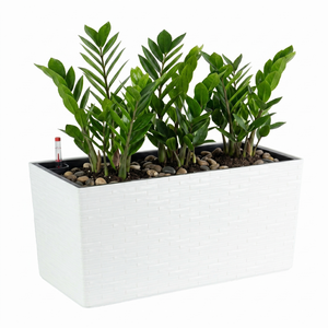 Jardinière rectangulaire <span class=keywords><strong>en</strong></span> plastique PP auto-arrosante avec réservoir d'eau <span class=keywords><strong>pour</strong></span> fleurs, herbes et plantes vertes - Product Image 1