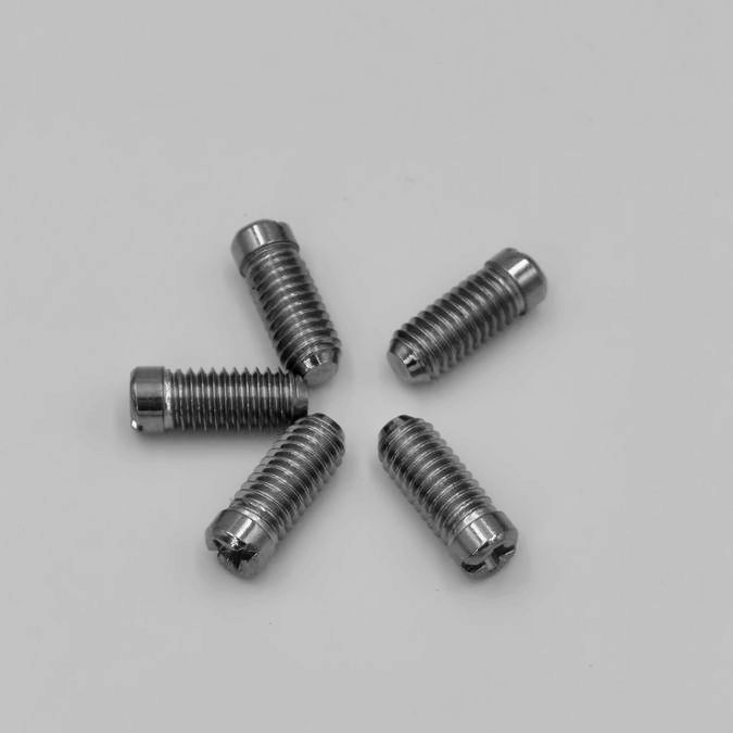 OEM Customized M3 M4 M5 M6 Plastic Dog Point Hex Socket Grub Screws