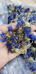 Shi che Ju 500g Premium crudo entero seco Bleuet capitule para té - Product Image 2