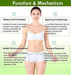 Gomitas de Extracto de Té <span class=keywords><strong>Verde</strong></span> Matcha de China, Marca State-owned Capital Slimming, Suplementos para la Energía y Quemagrasas - Product Image 3