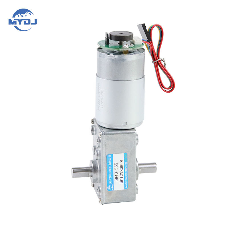 24V DC Electric Motor 5840-555 Hall Encoder Double Output Shaft Worm ...