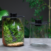 Vase en verre pour plantes avec couvercle lumineux intégré, terrarium en verre pour plantes d'intérieur, décoration de bureau et de maison